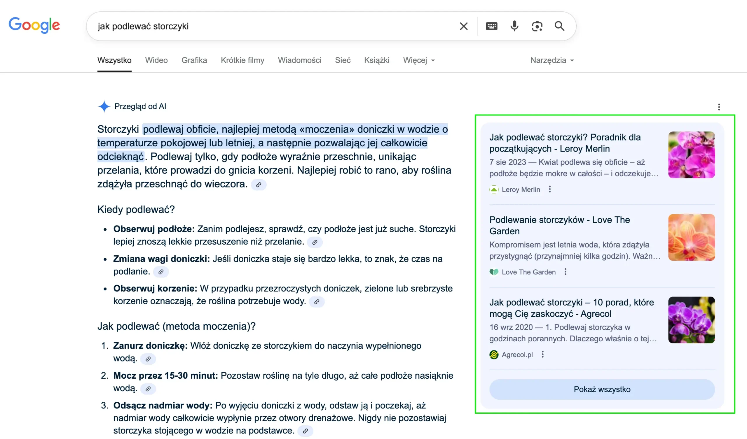 pozycjonowanie ai overview